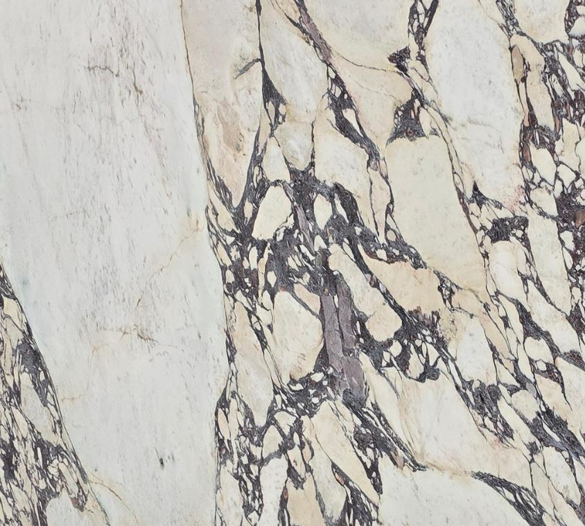 Calacatta Viola / Arabescato Marble